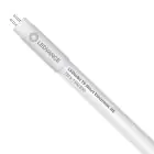 Ledvance LED Lysrør T5 Value Short (HF) High Efficiency 7W 770lm - 830 varm hvit | 52cm - erstatter 13W
